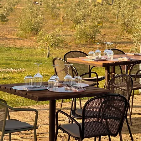 Alloggio per agriturismo Casale Oliveta